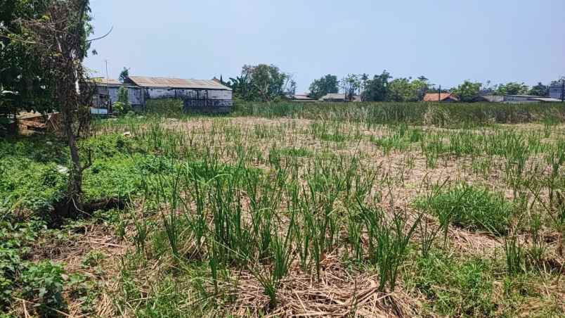 dijual tanah babelan