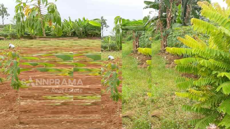 dijual tanah bedahan