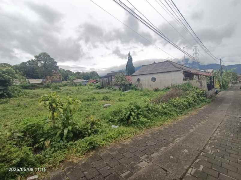 dijual tanah bedugul tabanan bali