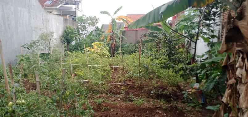 dijual tanah cisaranten kulon