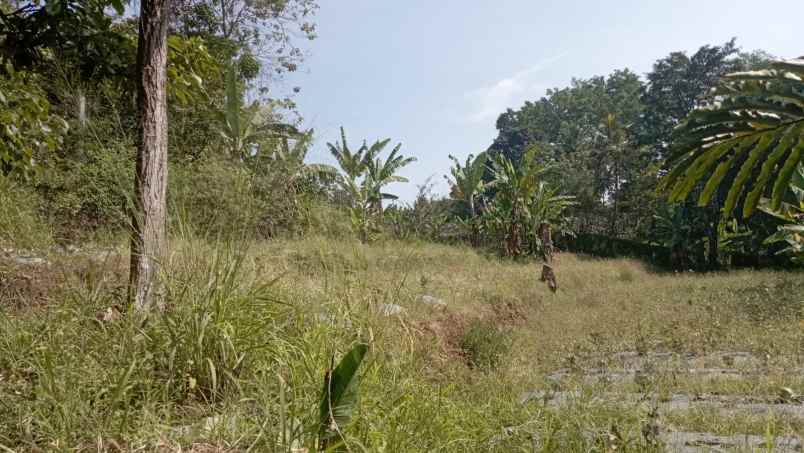 dijual tanah cisarua