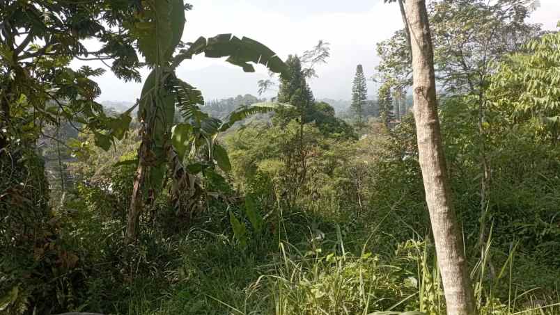 dijual tanah cisarua