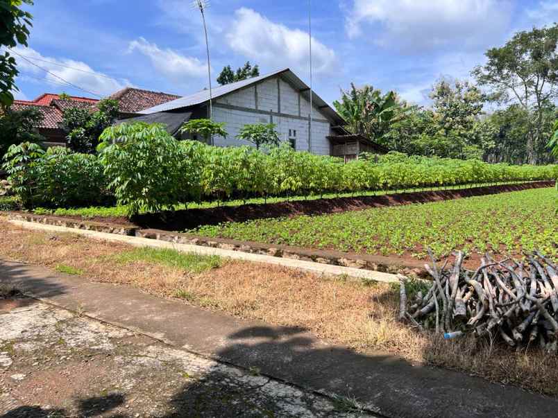 dijual tanah datar cocok untuk rumah tinggal sragen