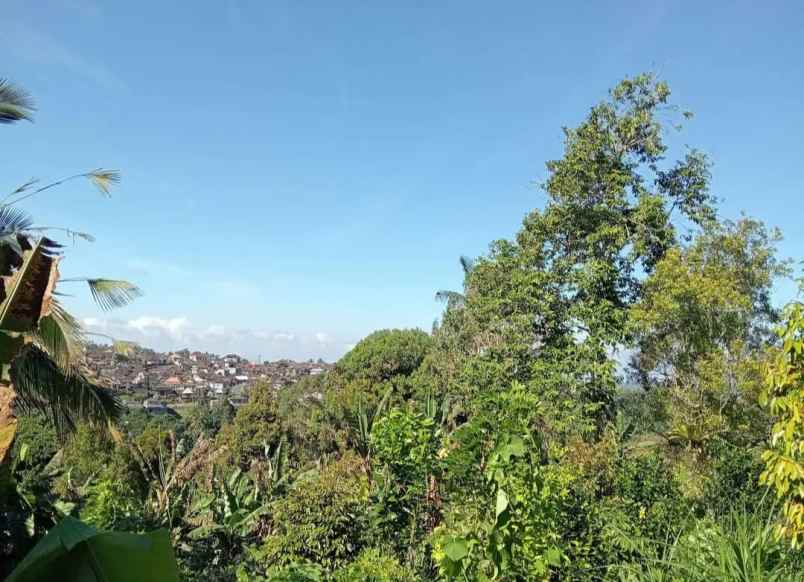 dijual tanah desa sanda kec pupuan
