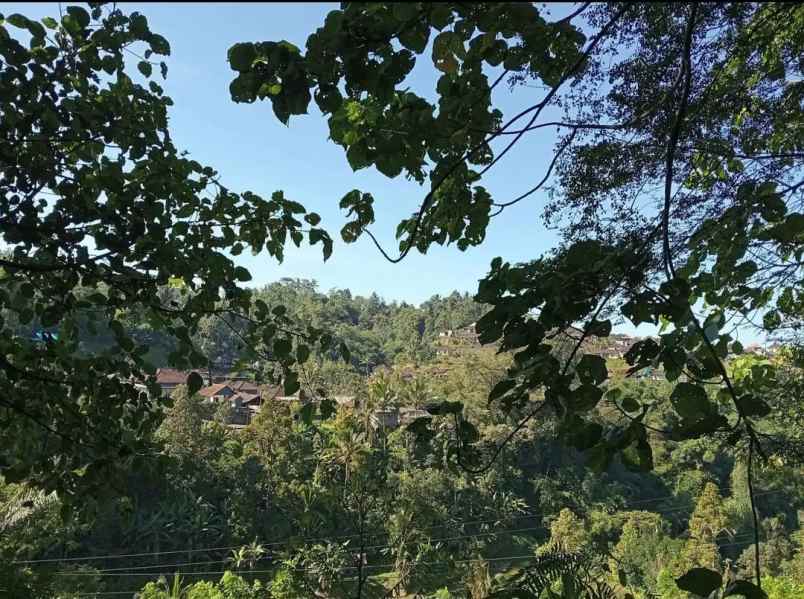 dijual tanah desa sanda kec pupuan