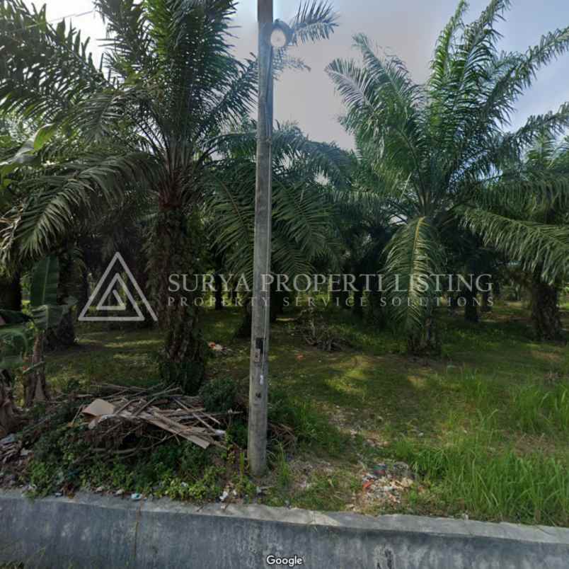 dijual tanah di jalan pinang dua stabat