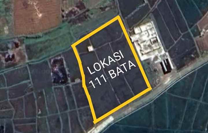 dijual tanah di tanami padi view gunung