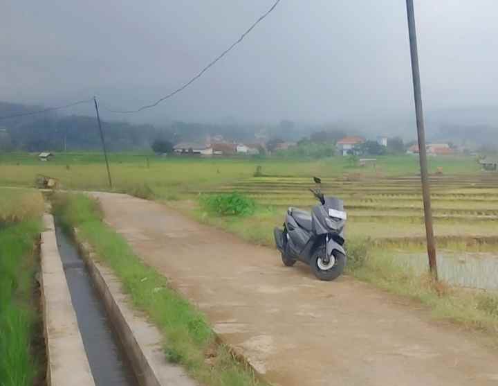 dijual tanah di tanami padi view gunung