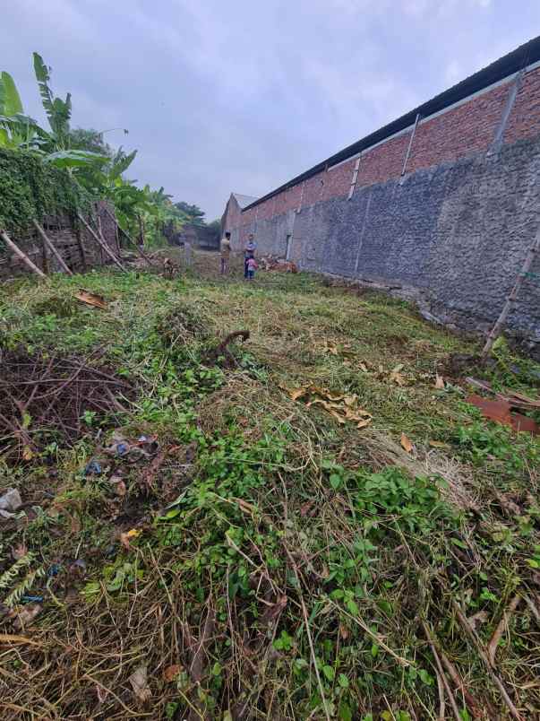 dijual tanah dijual tanah datar di desa