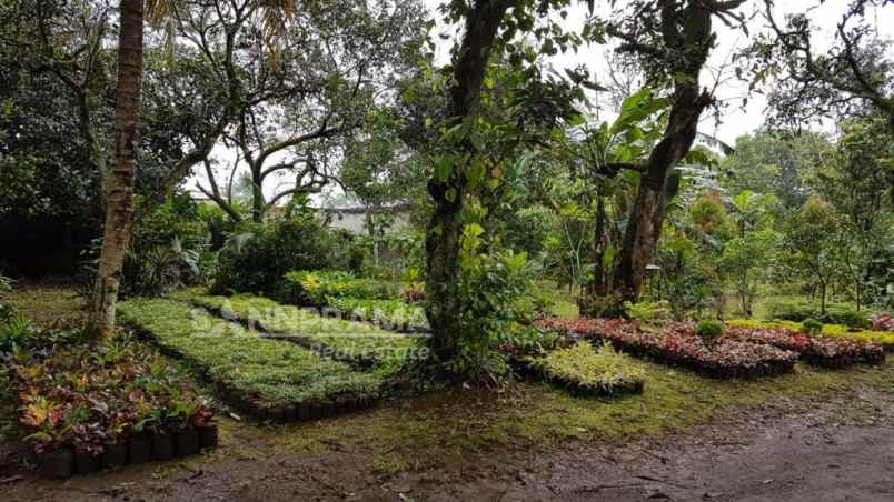 dijual tanah duren seribu