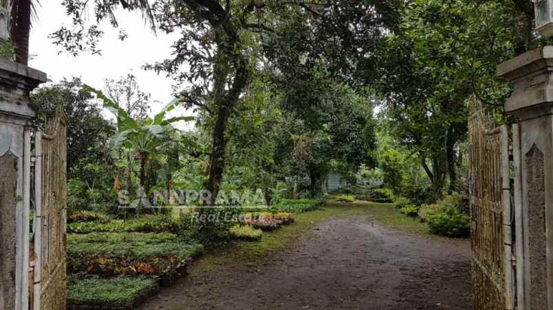 dijual tanah duren seribu