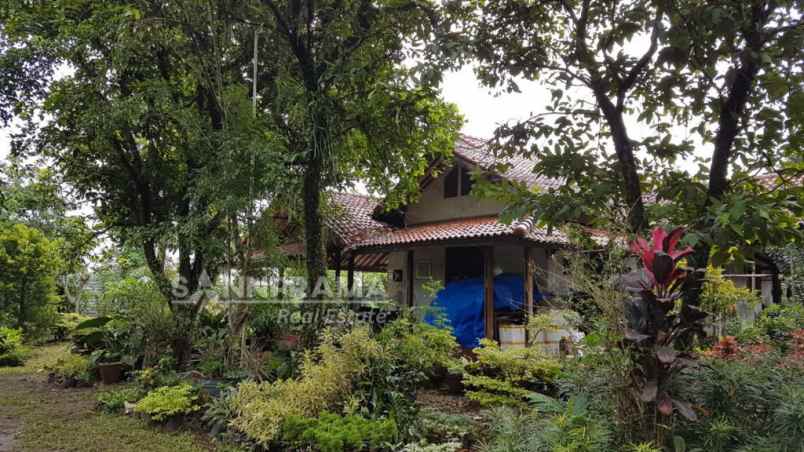 dijual tanah duren seribu