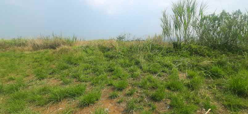 dijual tanah giri mekar