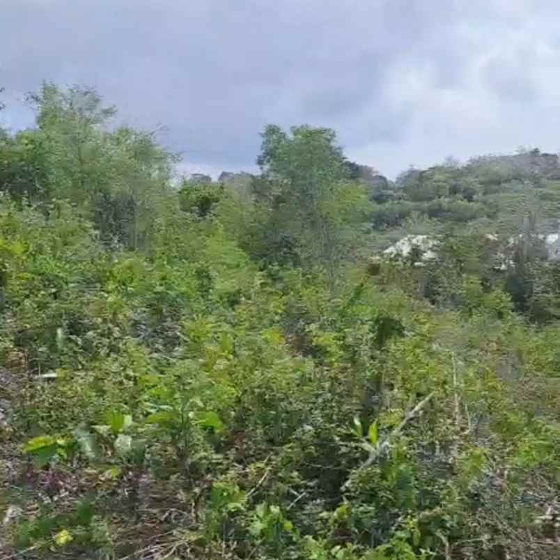 dijual tanah goa gong