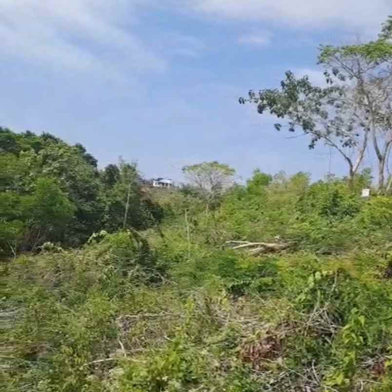 dijual tanah goa gong