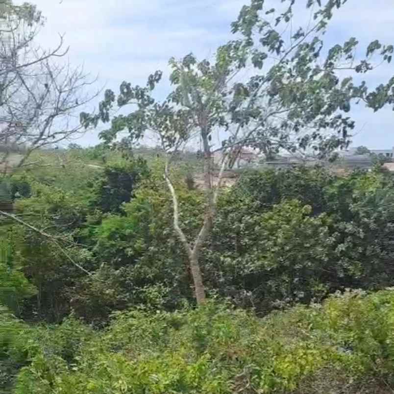 dijual tanah goa gong