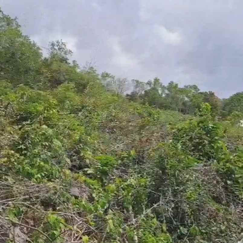 dijual tanah goa gong