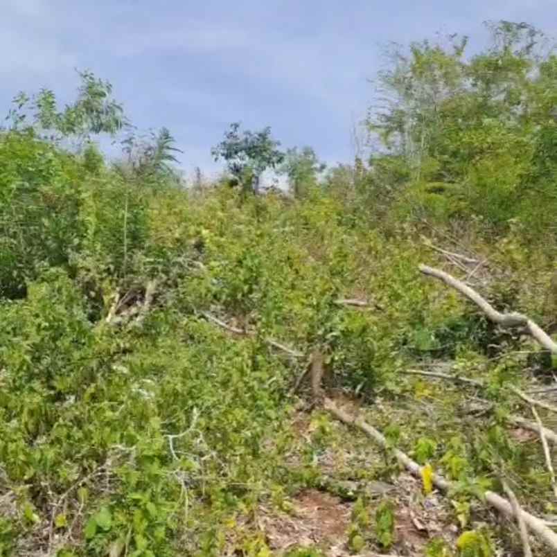 dijual tanah goa gong