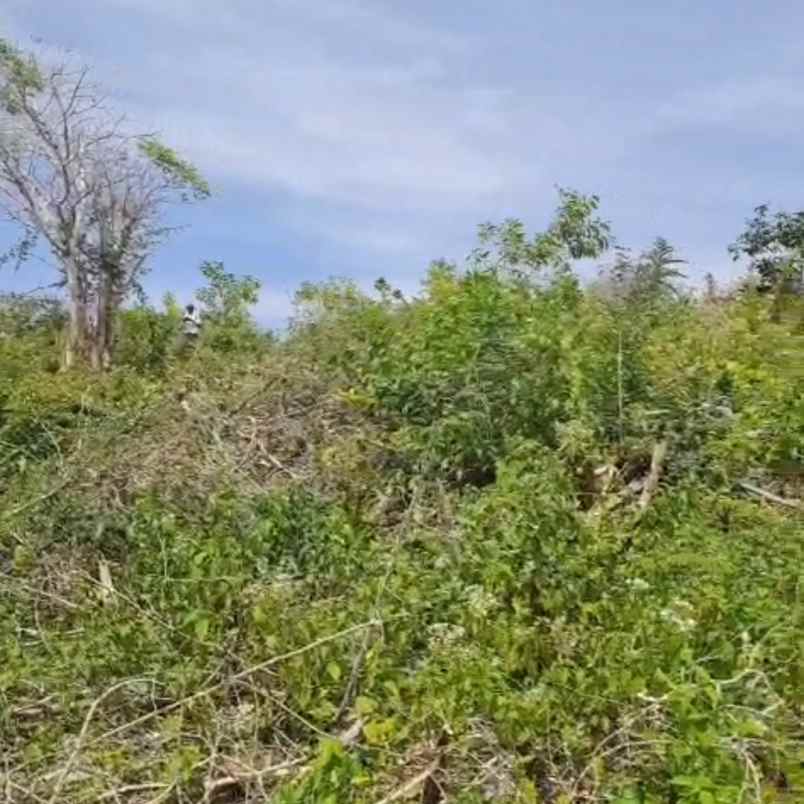 dijual tanah goa gong