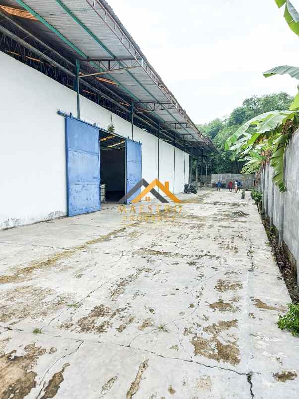dijual tanah gudang klambir lima kebon hamparan perak