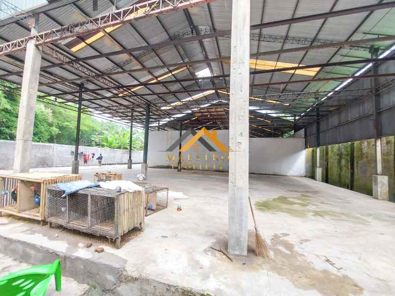 dijual tanah gudang klambir lima kebon hamparan perak