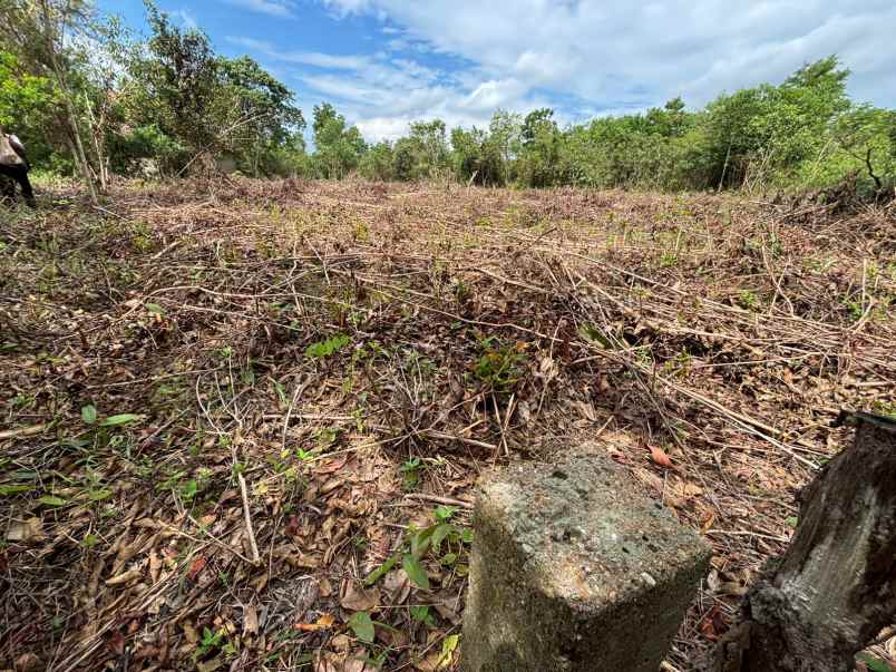 dijual tanah guntung paring