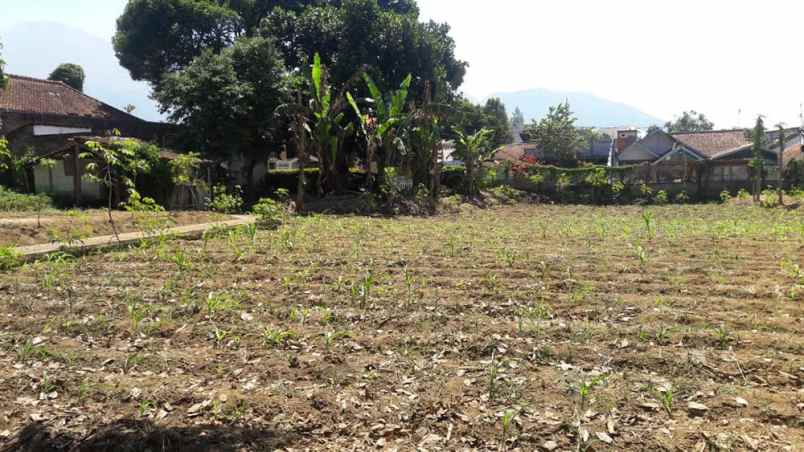 dijual tanah h husein