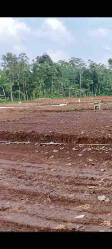 dijual tanah jatirejo gunungpati