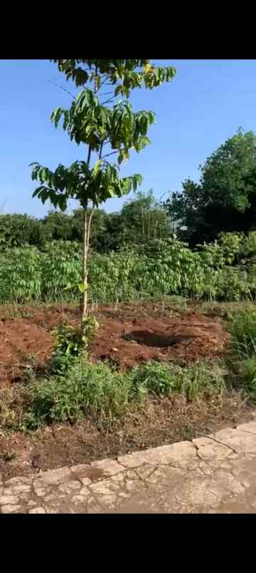 dijual tanah jl boma lembang pamulihan