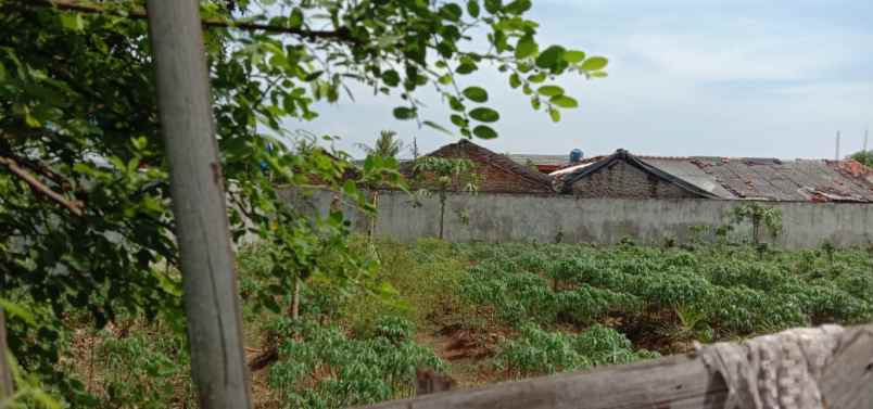 dijual tanah jl kresek raya jakarta barat