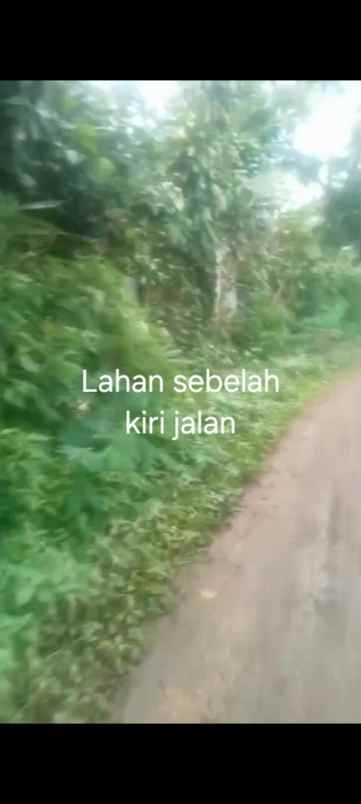 dijual tanah jl lembur sawah cigendel