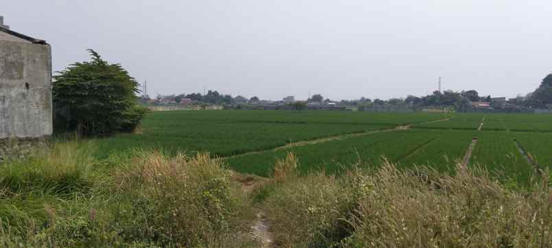 dijual tanah jl lingkar tanjungpura