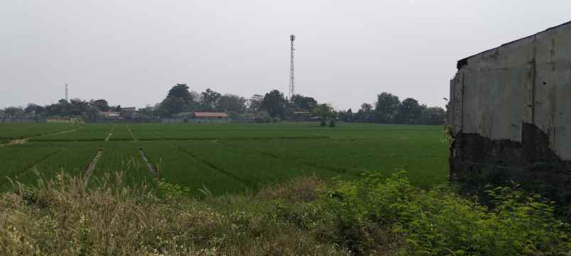 dijual tanah jl lingkar tanjungpura