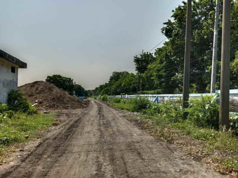 dijual tanah kawasan industri gresik