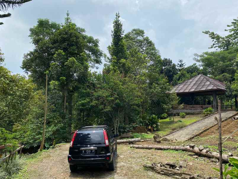 dijual tanah kebun lokasi cibedug ciawi jawa barat