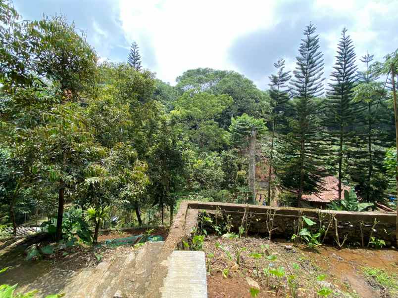 dijual tanah kebun lokasi cibedug ciawi jawa barat