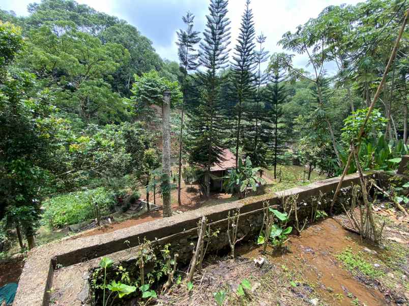 dijual tanah kebun lokasi cibedug ciawi jawa barat