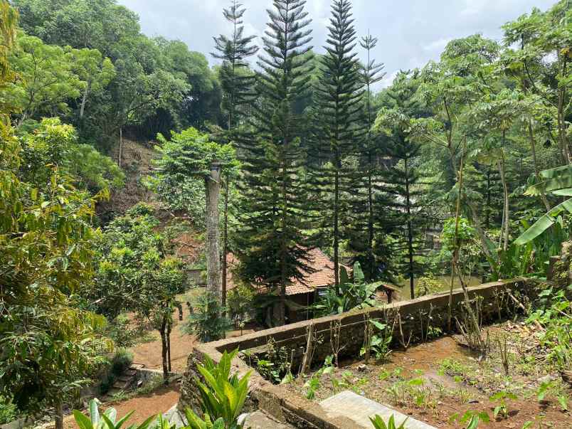 dijual tanah kebun lokasi cibedug ciawi jawa barat