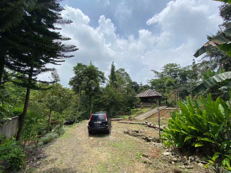 dijual tanah kebun lokasi cibedug ciawi jawa barat