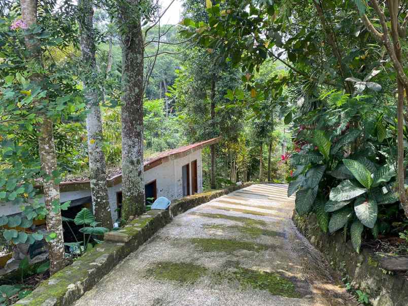 dijual tanah kebun lokasi cibedug ciawi jawa barat