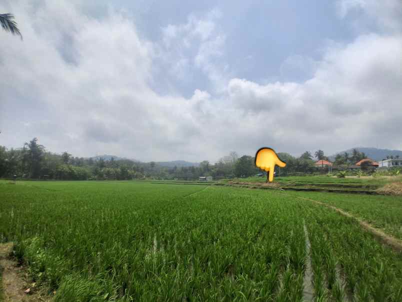 dijual tanah komersial jalan nasional tabanan bali