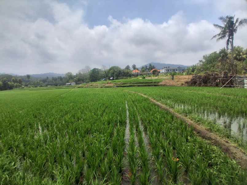 dijual tanah komersial jalan nasional tabanan bali