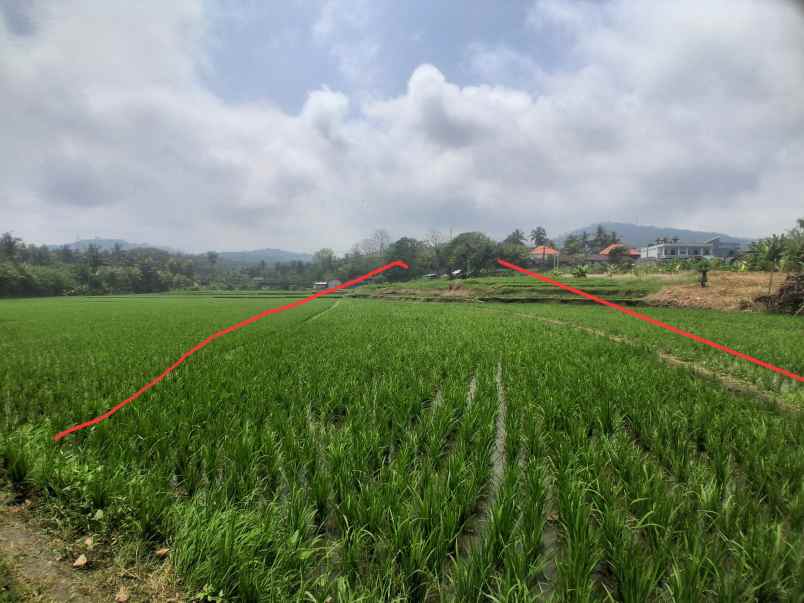 dijual tanah komersial jalan nasional tabanan bali