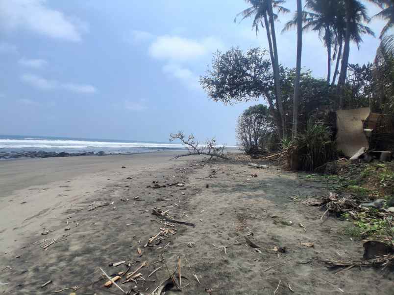 dijual tanah komersial jalan nasional tabanan bali