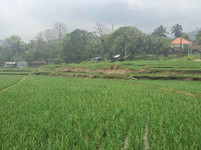 dijual tanah komersial jalan nasional tabanan bali