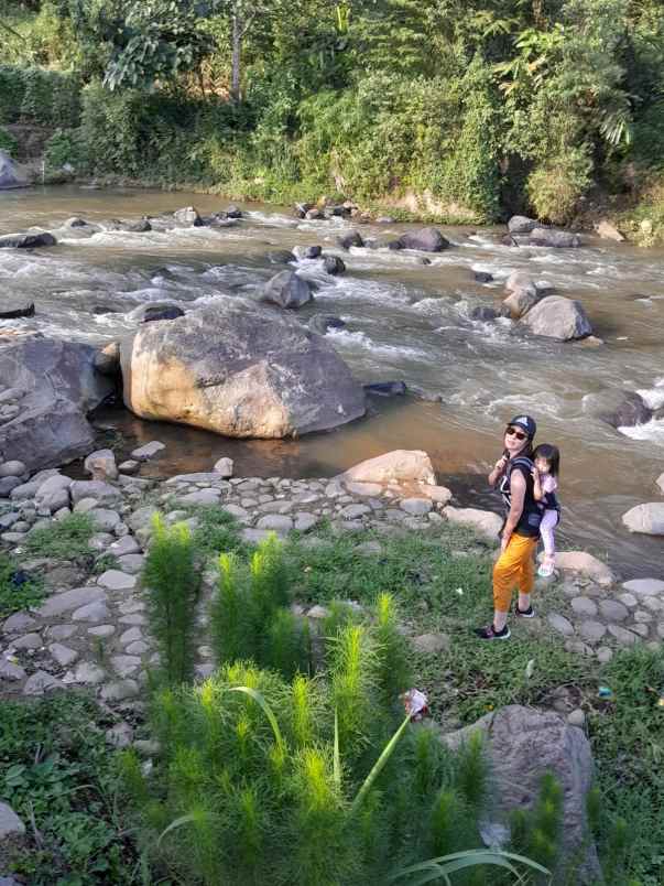 dijual tanah lokasi puncak cipanas jawa barat