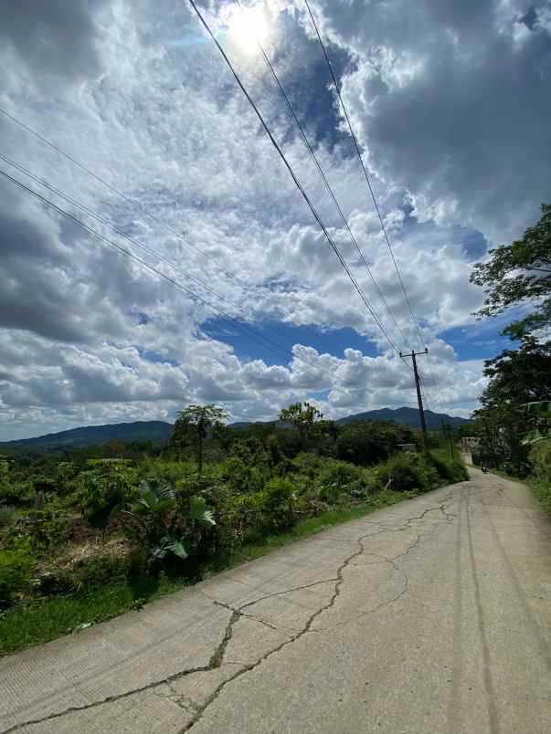 dijual tanah pabuaran sukamakmur