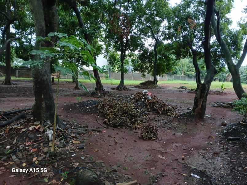 dijual tanah pagelarang setu cipayung