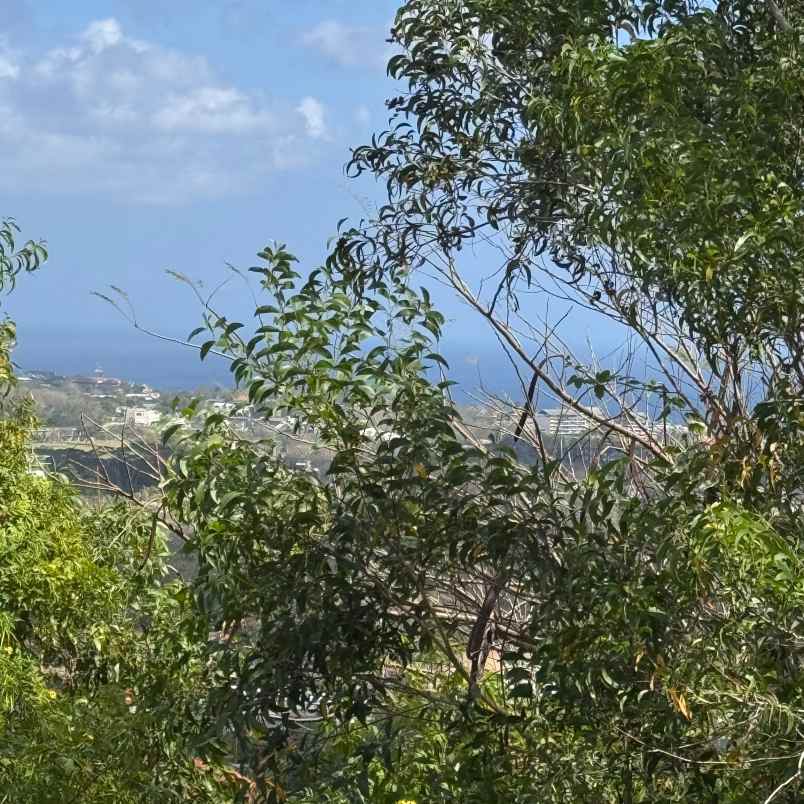 dijual tanah pantai balangan