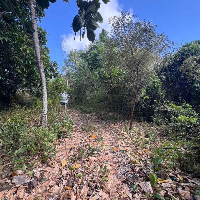 dijual tanah pantai balangan